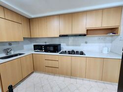 Dunman Place (D15), Apartment #520581731